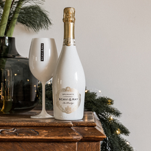 Laden Sie das Bild in den Galerie-Viewer, 6x SCAVI & RAY Ice Prestige + 5x SCAVI Premix GRATIS