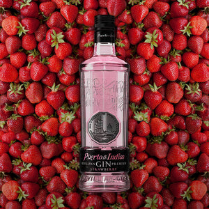 Puerto de Indias Strawberry Gin, 0,7l + 6x GOLDBERG Tonic Water, 0,2l